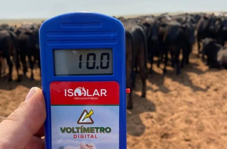 Cerca elétrica não está funcionando, o que pode ser?