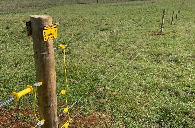 10 dicas essenciais na hora de comprar cerca elétrica rural