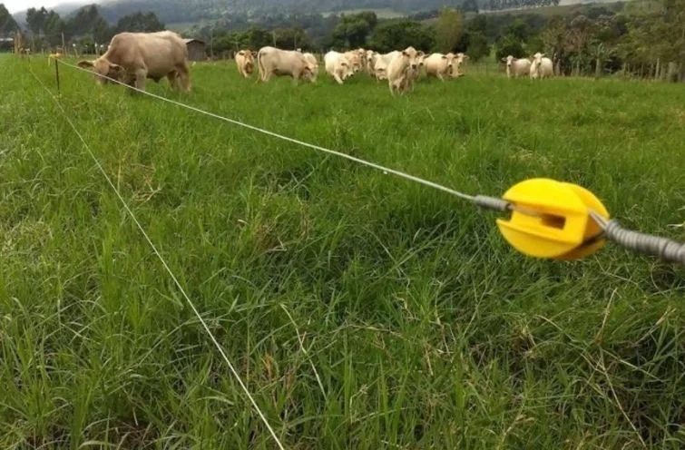 Como emendar arame na cerca elétrica?