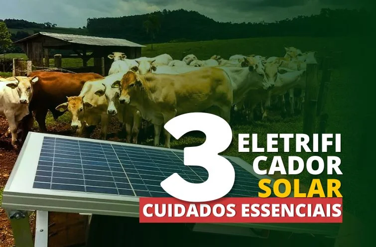 Eletrificador com Painel Solar – 3 Cuidados Essenciais