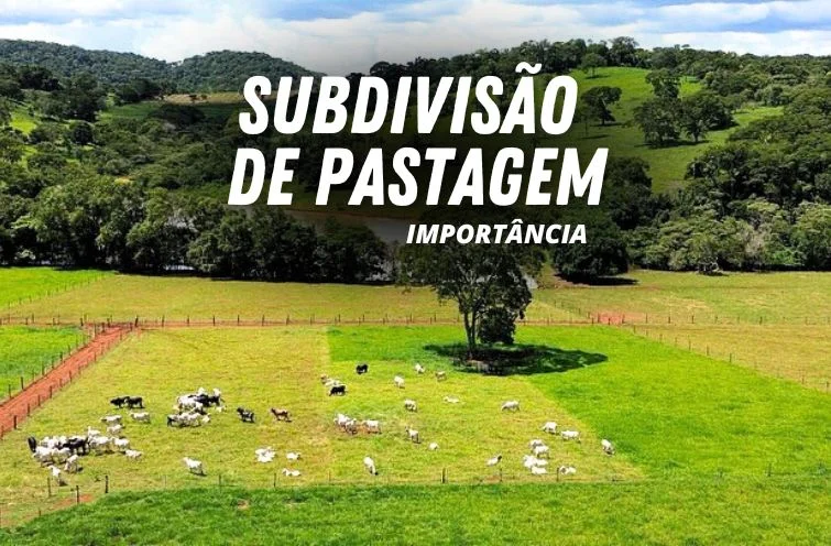 Otimize Sua Pastagem e Aumente a Produtividade com Cerca Elétrica Rural