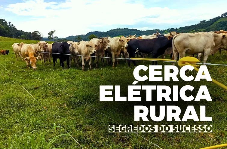 Fatores que influenciam no sucesso da sua cerca elétrica rural