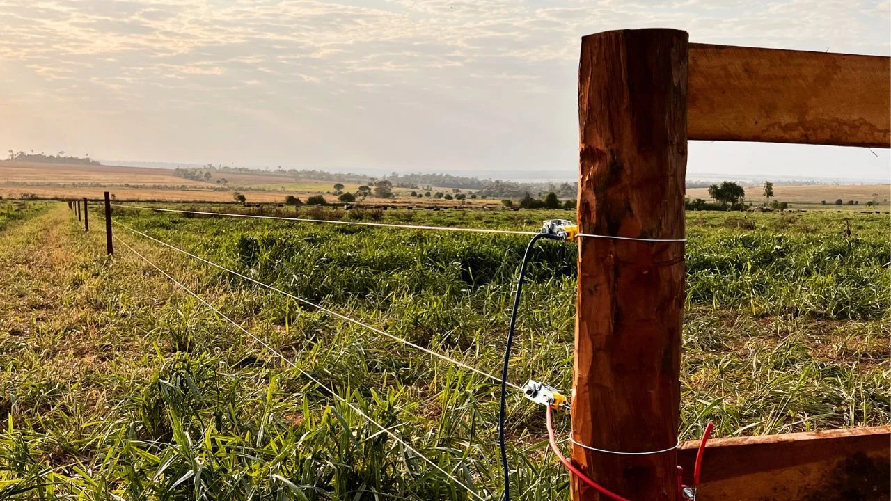 Distância Ideal Entre as Estacas da Cerca Elétrica Rural