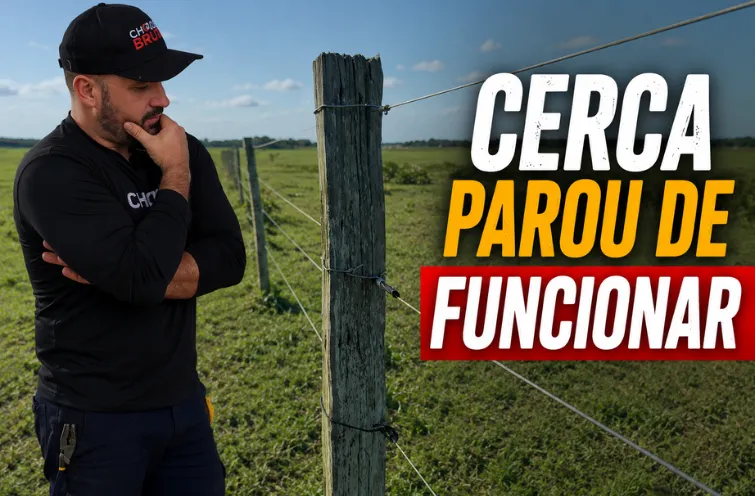 Problemas na Cerca Elétrica? Identificando e Corrigindo Falhas