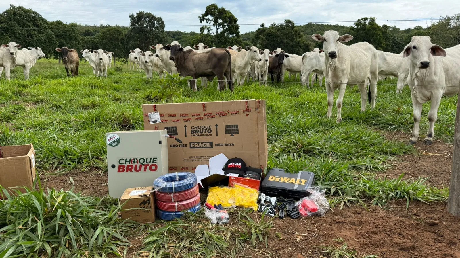 Kit Cerca elétrica para Bovinos